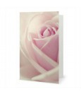 Greeting Card The Rose FTD